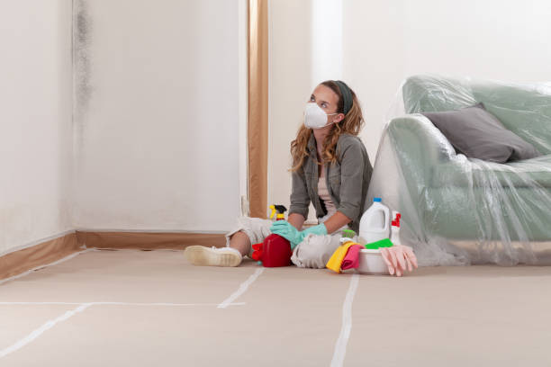 Reliable Mold Remediation contractor in Douglas, GA by WQB Mold Removal